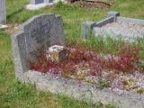 image of grave number 795918